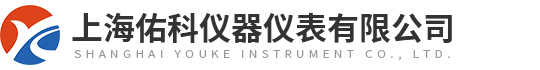上海佑科仪器仪表有限公司